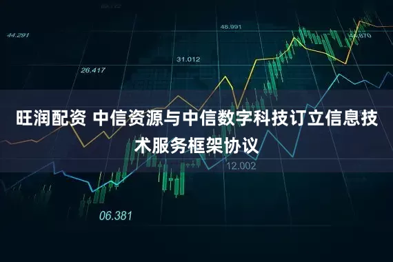 旺润配资 中信资源与中信数字科技订立信息技术服务框架协议