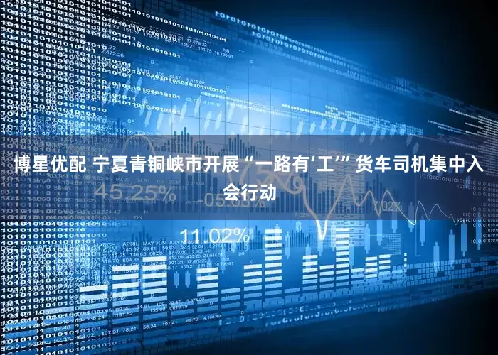 博星优配 宁夏青铜峡市开展“一路有‘工’”货车司机集中入会行动