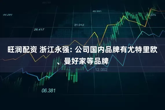 旺润配资 浙江永强: 公司国内品牌有尤特里欧、曼好家等品牌