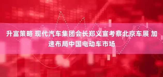 升富策略 现代汽车集团会长郑义宣考察北京车展 加速布局中国电动车市场